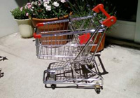 �V���b�s���O